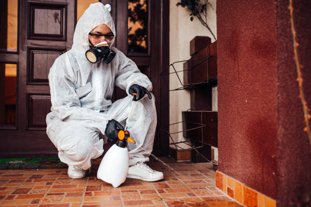 Attic and Crawl Space Rodent Treatment in Rodeo